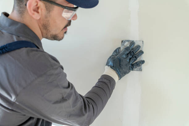 Best Water-Damaged Drywall Repair  in Woodlake, VA